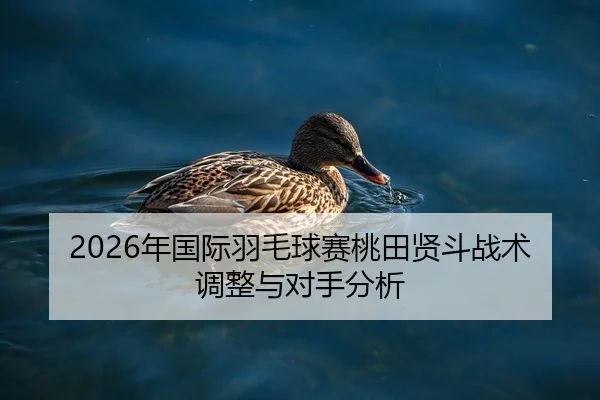 2026年国际羽毛球赛桃田贤斗战术调整与对手分析