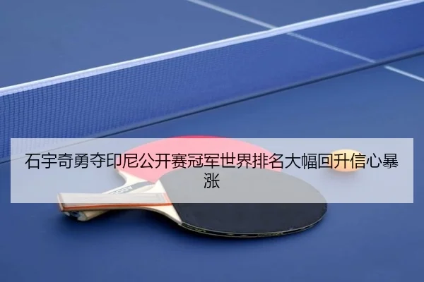 shi-yu-qi-yong-duo-yin-ni-gong-kai-sai-guan-jun-shi-jie-pai-ming-da-fu-hui-sheng-xin-xin-bao-zhang-2-866.jpg